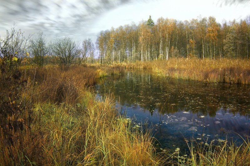 про позднюю осень на Валаеphoto preview