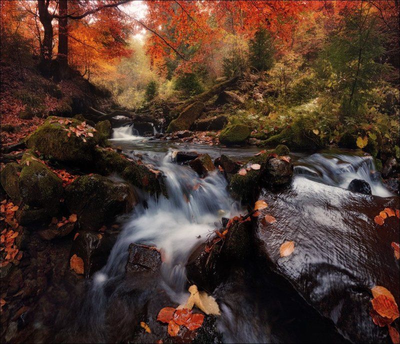 / Осенние акценты /photo preview