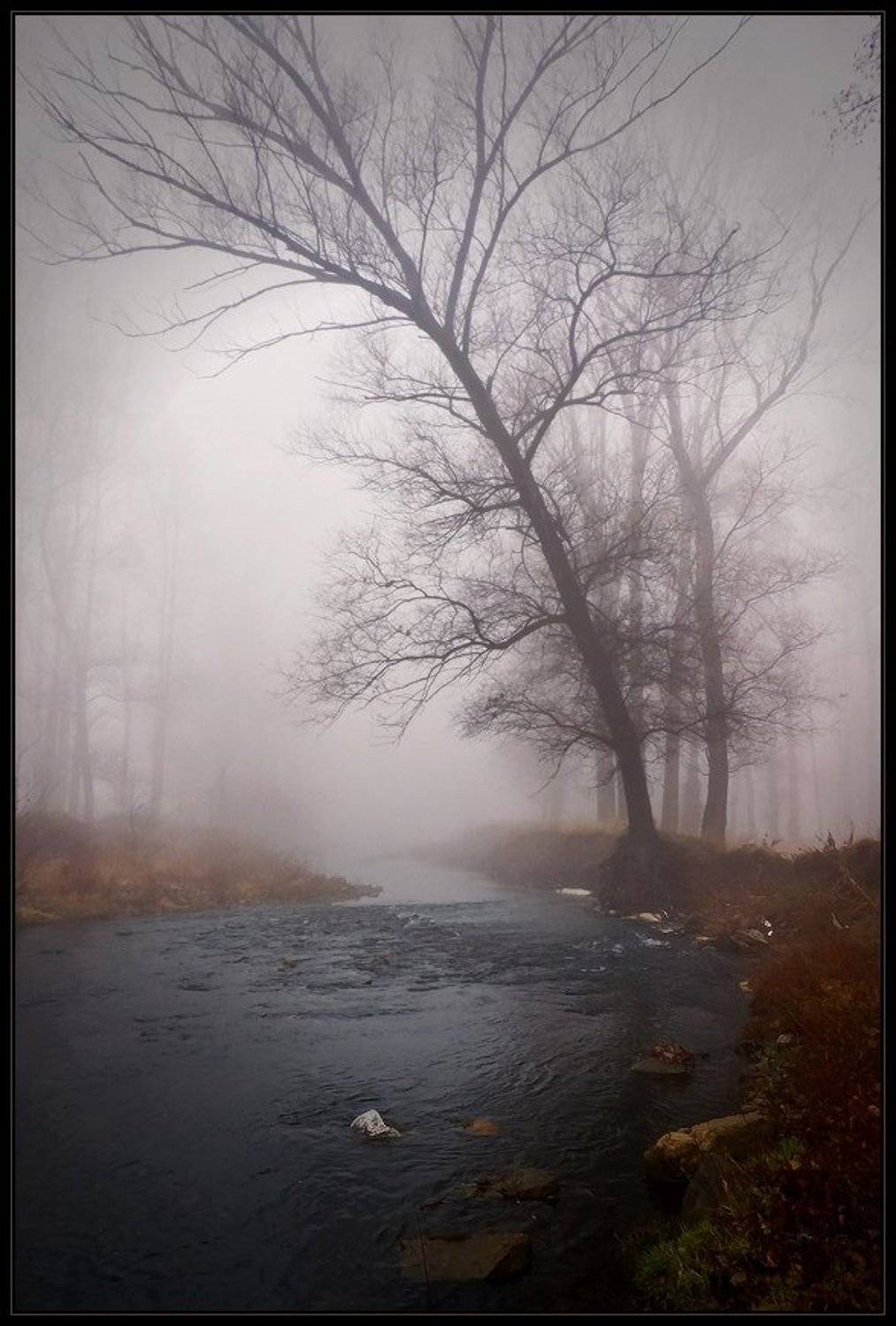bulgaria, Svetoslav Georgiev
