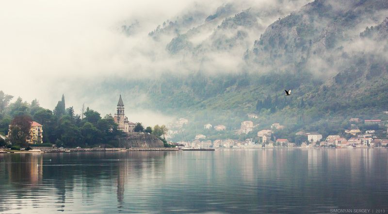 Европа, Залив, Туман, Чайка, Черногория photo preview