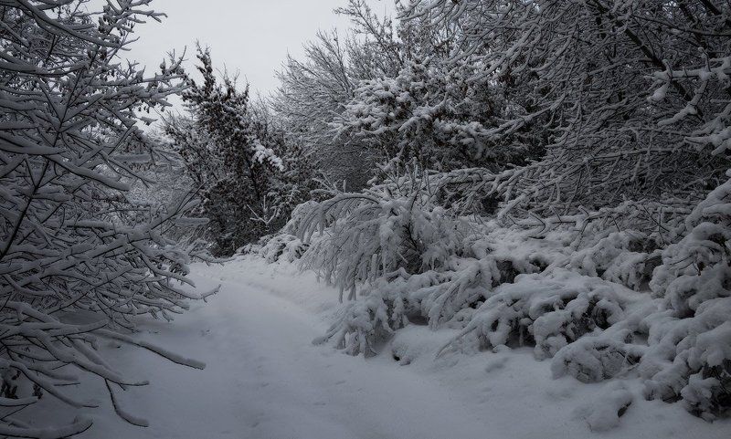 Смена времен фото превью