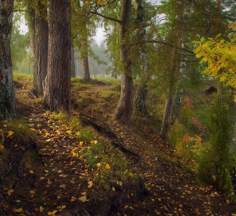 Осенний сюжетphoto preview