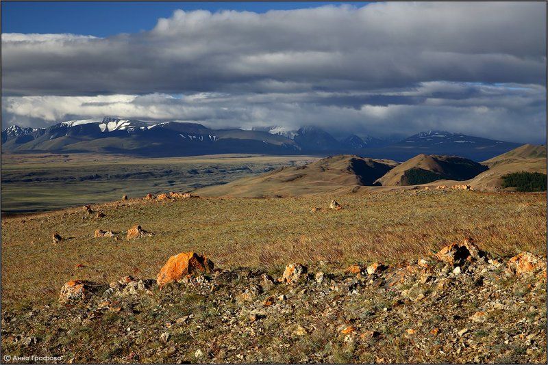 Чуйские зарисовкиphoto preview