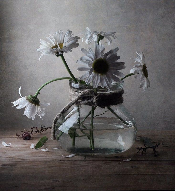 Натюрморт, Ромашки Ромашкиphoto preview