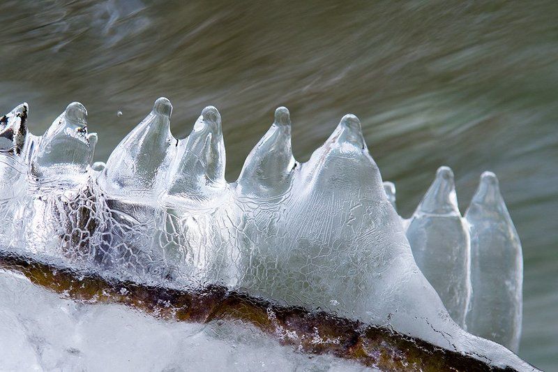 В последний день осениphoto preview