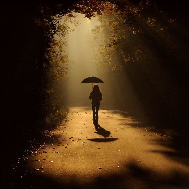 sunny rainphoto preview