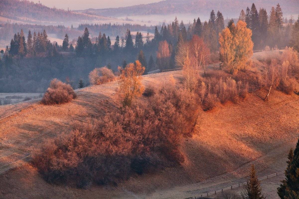 Ноябрьская утренняя. Автор: Вейзе Максим , Вейзе Максим