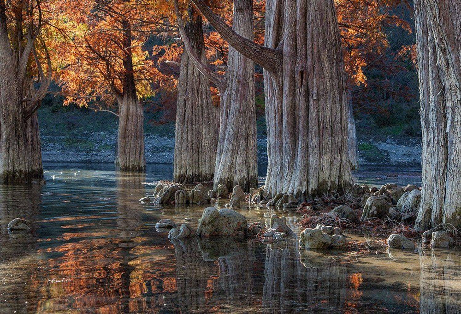 , Анна Костенко