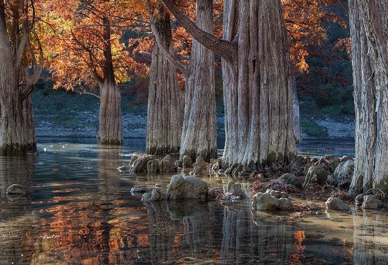 Осенняя пораphoto preview