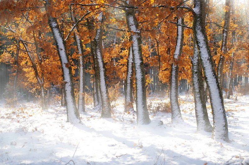 Игра сезоновphoto preview