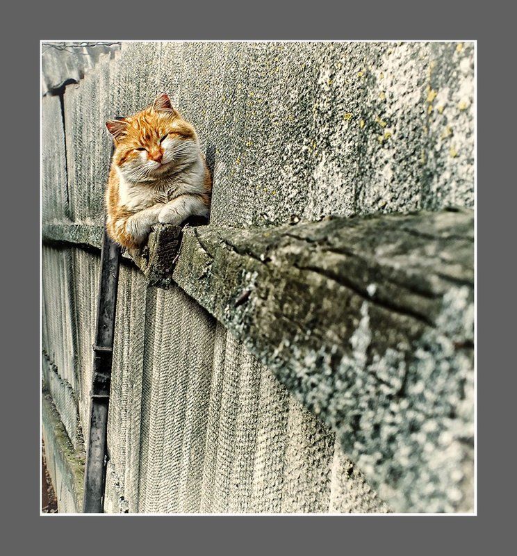 Попробую поспать...photo preview