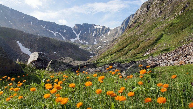 Огонькиphoto preview