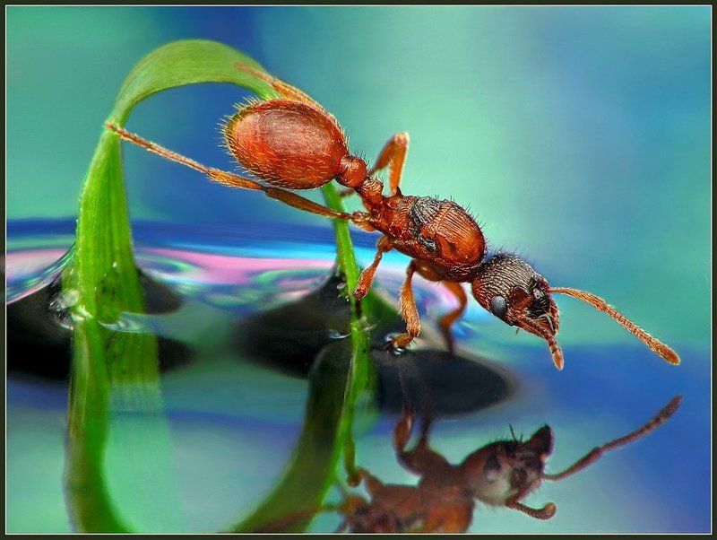 Неужели это я.photo preview