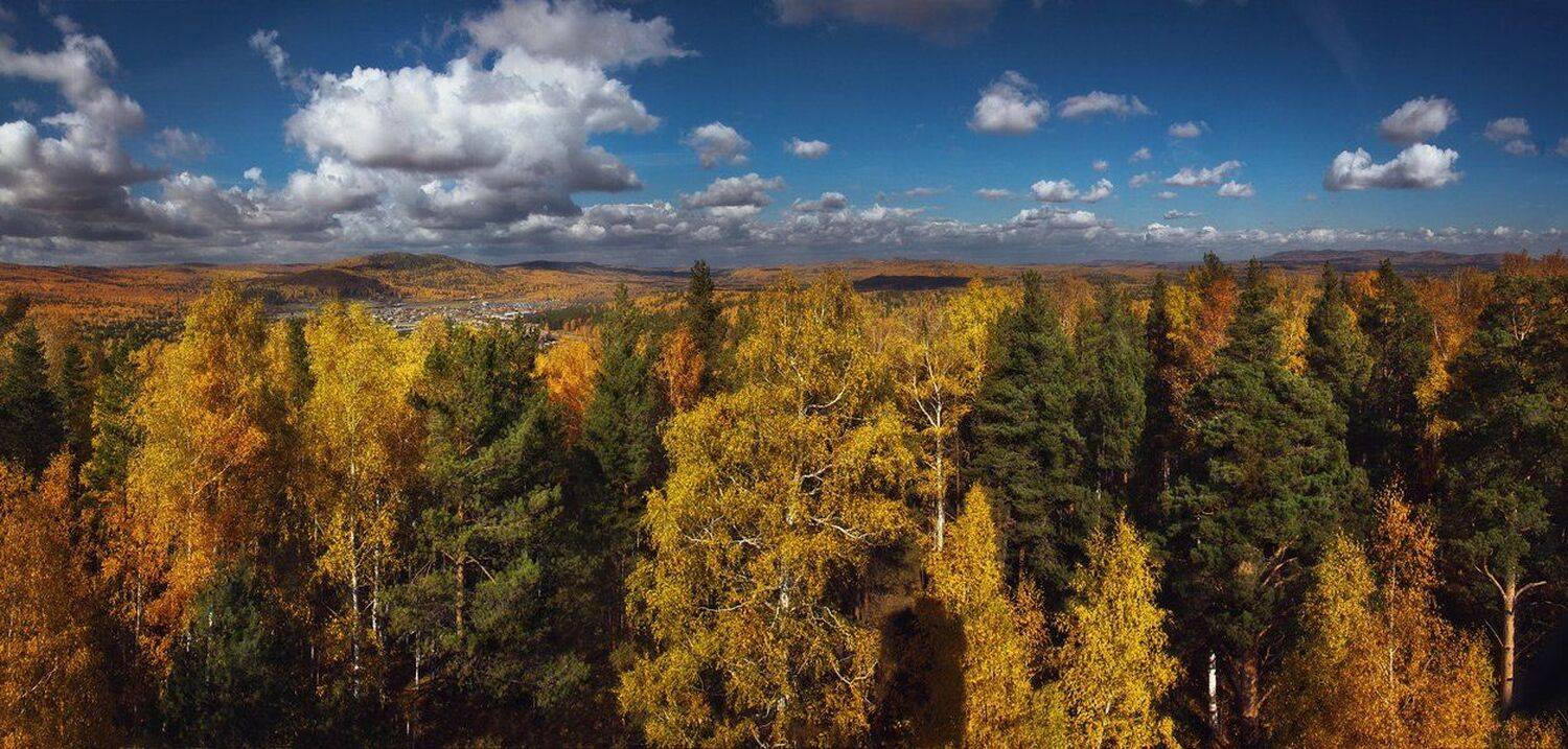 , Юлия Истомина