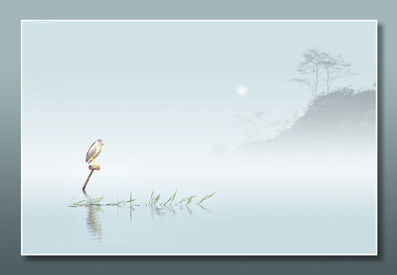 Early morningphoto preview