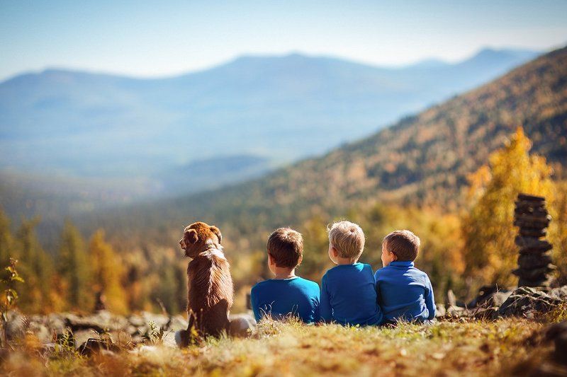 Друзьяphoto preview