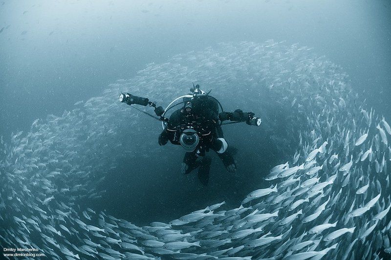 Пастухphoto preview