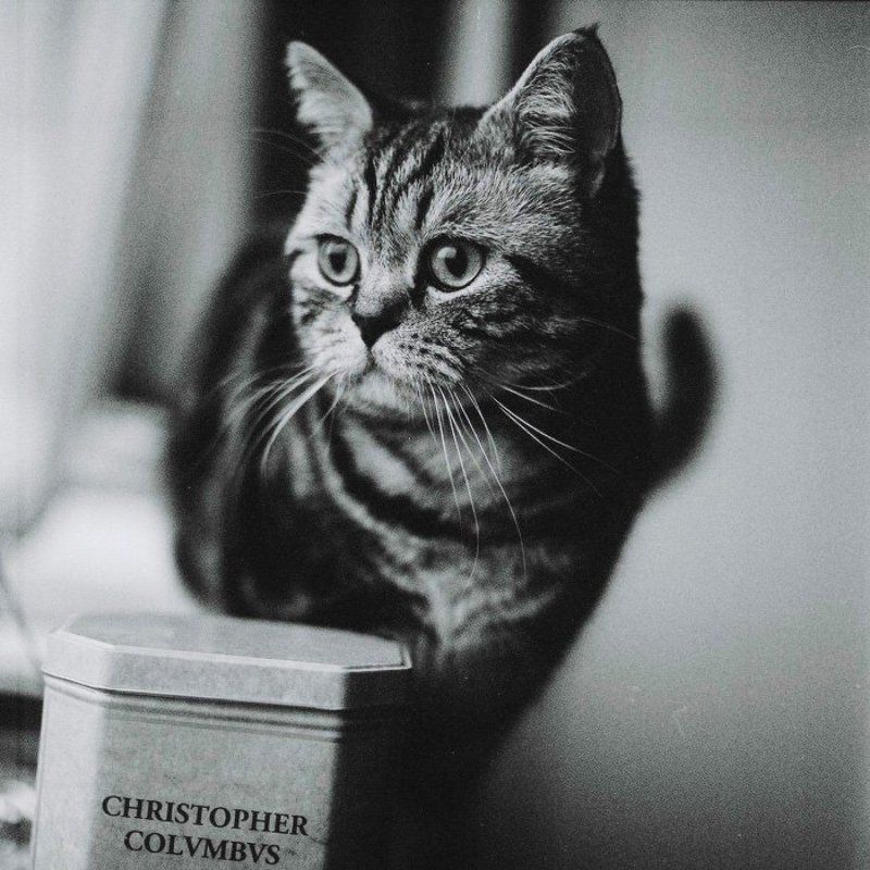 Orion The Discovererphoto preview