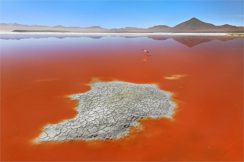 боливия, laguna, colorada Laguna Colorada, Боливия фото превью