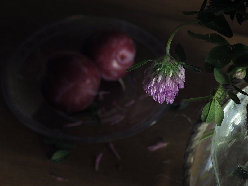 Грустный, Клевер, Натюрморт, Сливы, Цветок Грустный день...photo preview