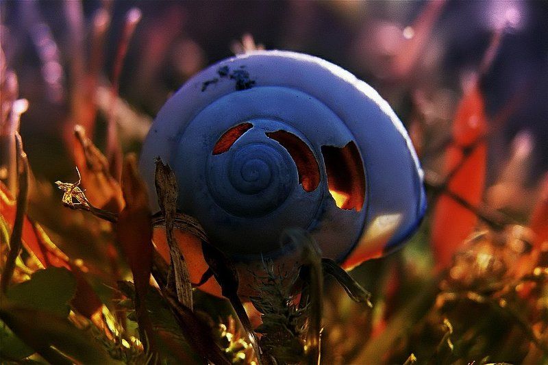 wake,macro,sony h , zeiss Empty Housephoto preview