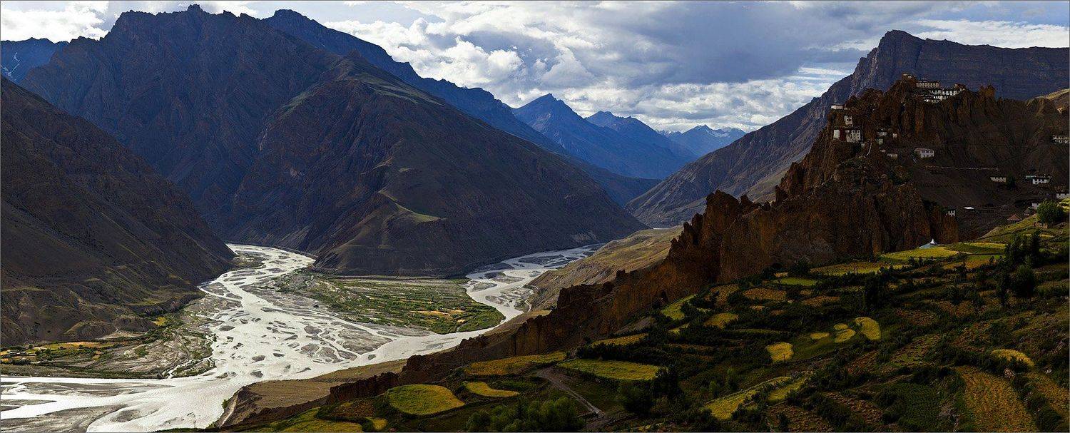 Сколько волка ни корми, а у медведя всё равно толще. Автор: Нетушки Гималаи, Нетушки