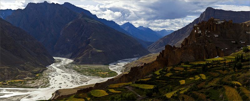 Гималаи Сколько волка ни корми, а у медведя всё равно толще фото превью