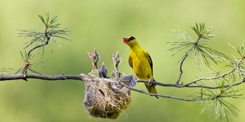 WHAT IS LOVEphoto preview