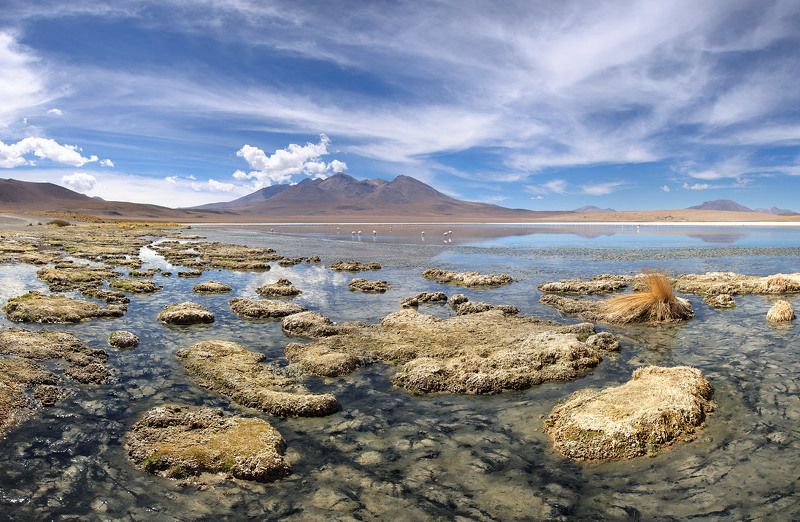 Боливия(1) фото превью