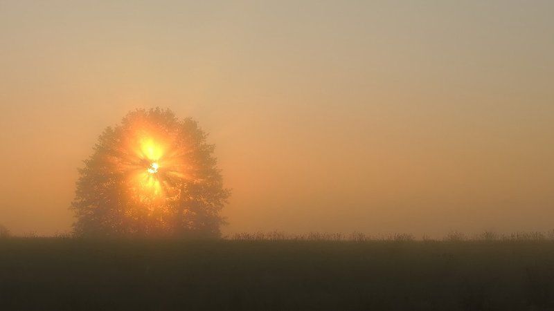 landscape Burning bush ...photo preview