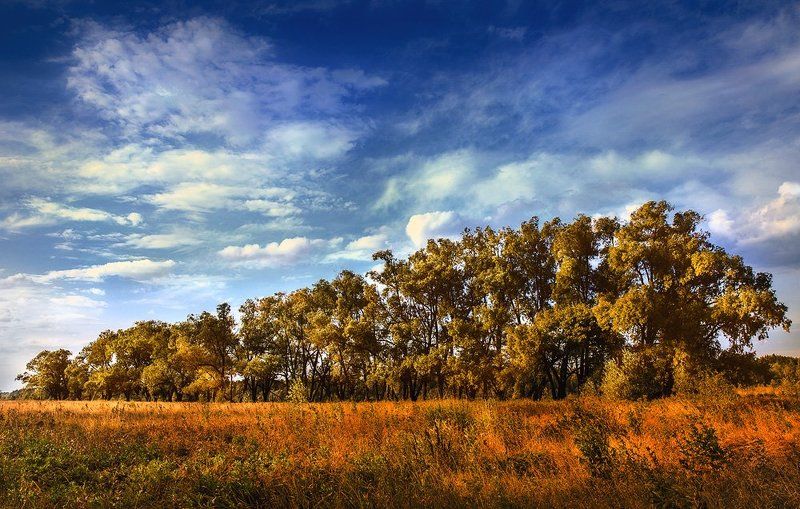 Про рыбу без хвоста.photo preview
