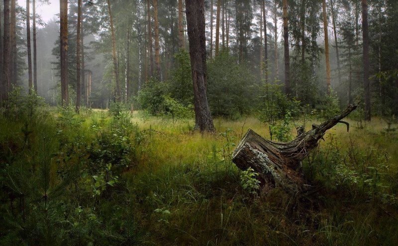 По мотивамphoto preview