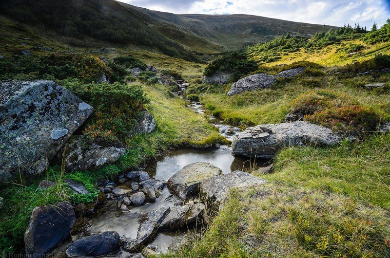 Родниковый ручейphoto preview