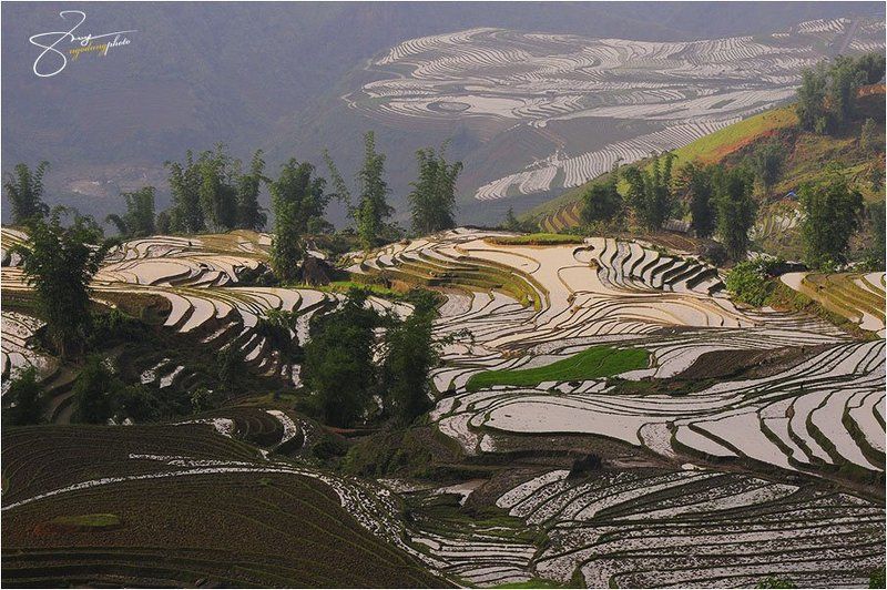 Viet Namphoto preview