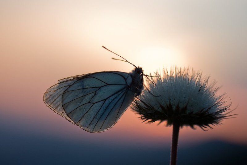 Спать пораphoto preview