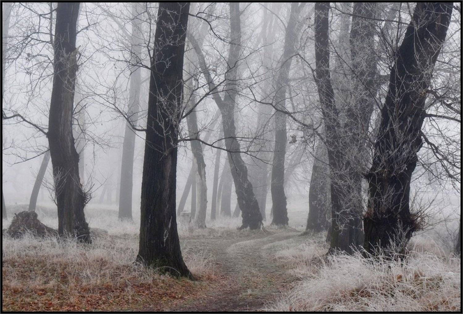 Автор: Svetoslav Georgiev , Svetoslav Georgiev