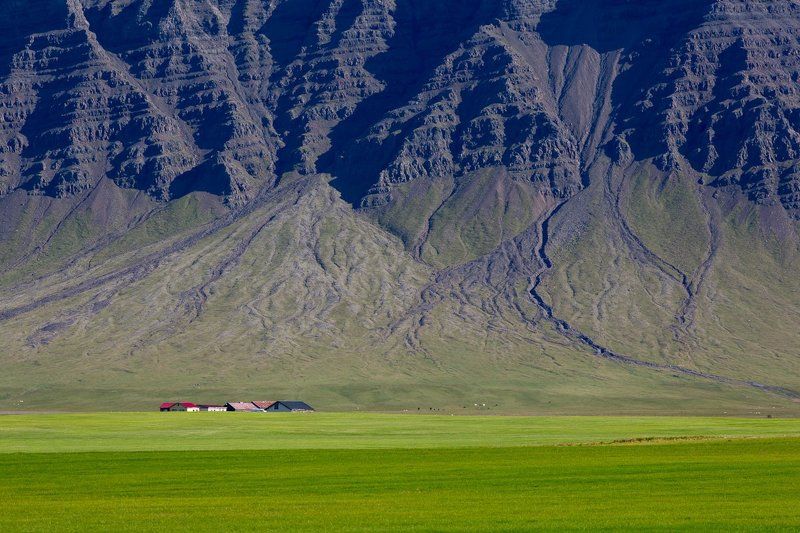 далеко, далеко, на лугу пасутся ба...photo preview