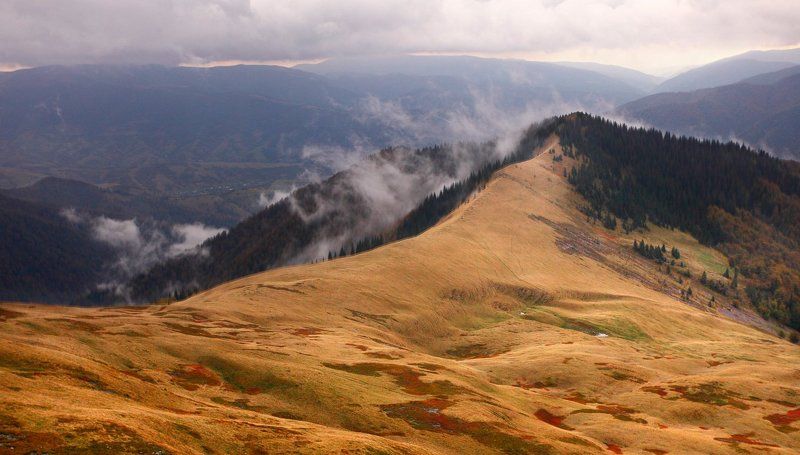 Дыхание земли. фото превью