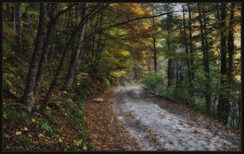 кавказ, кчр, дорога, осень, лес Осенними дорогами вдоль Большой Лабы...photo preview
