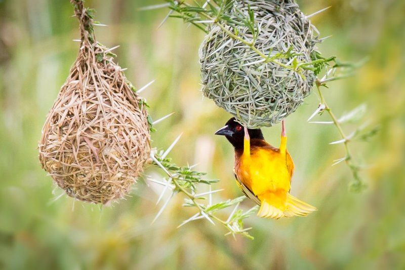 эй, сосед!  а не хлопнуть ли нам по рюмашке?!..photo preview