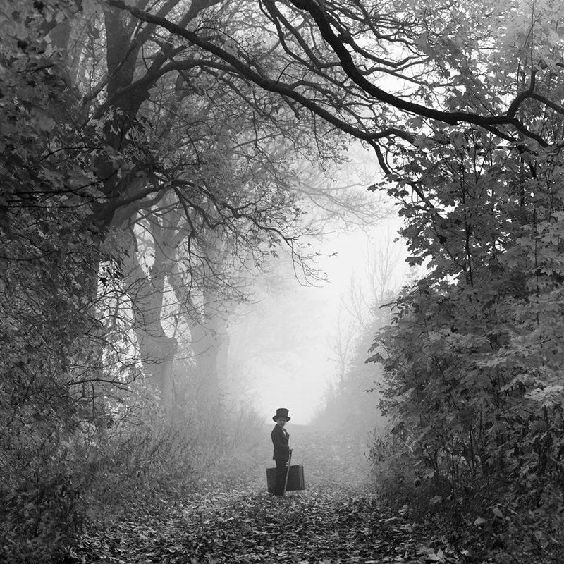 my life! my way!photo preview