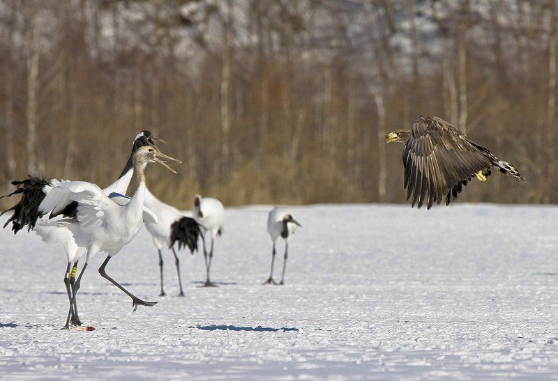 ZERO GRAVITYphoto preview