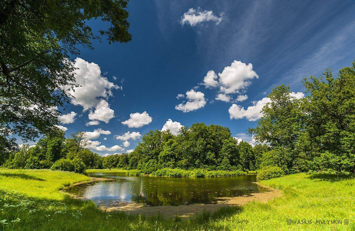 В Павловском парке - остров графини Ливен. Автор: mulden , mulden