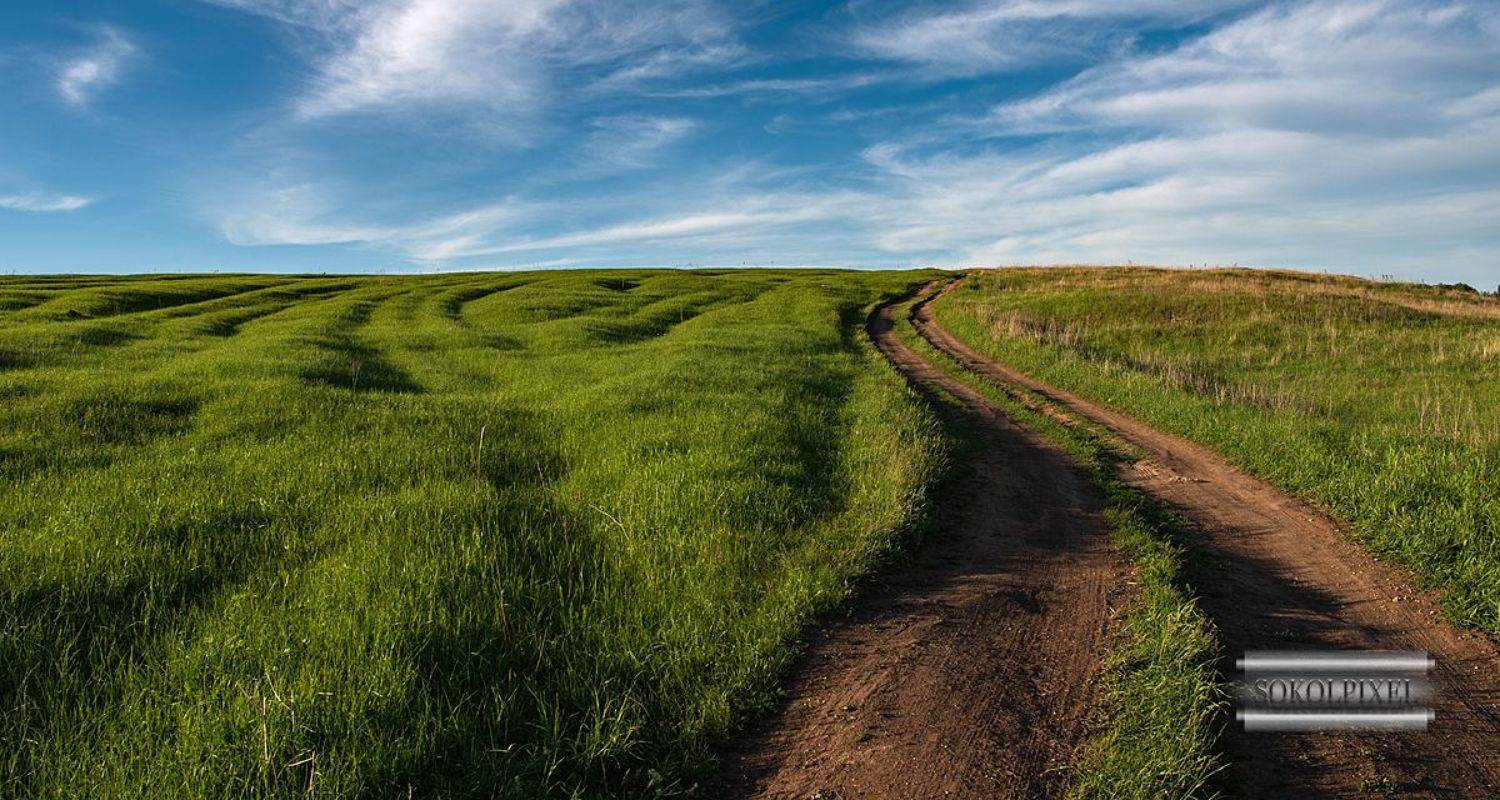 The Road. Автор: Андрей Cоколов , Андрей Cоколов