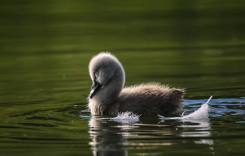 Сны о будущем...photo preview