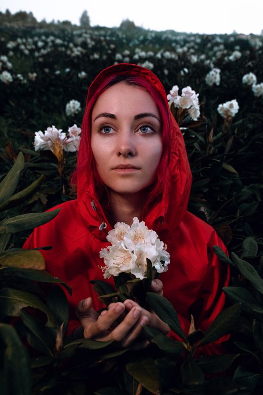 рододендрон Сердце рододендронаphoto preview