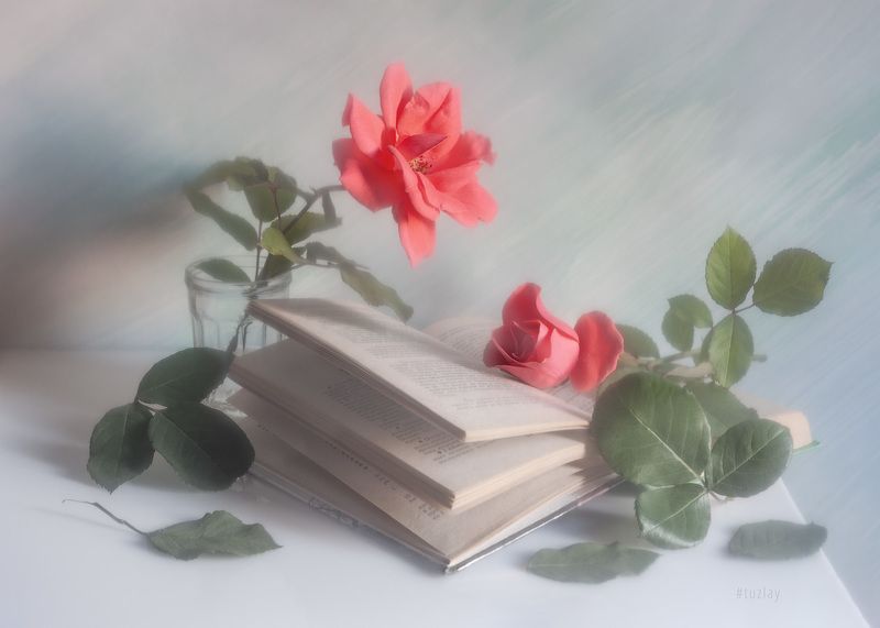 розы, книги, книга, открытая книга Еще про розочно-книжное...photo preview