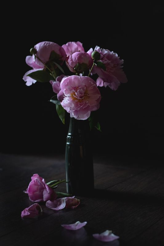 Пионыphoto preview