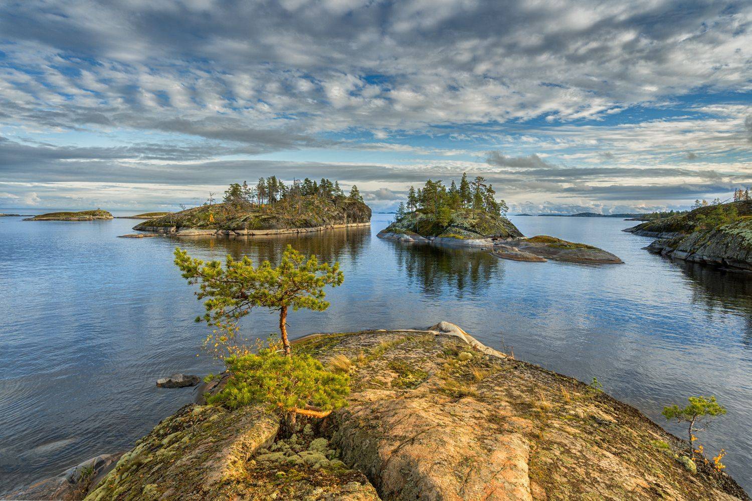 Раннее утро на Ладоге. Автор: Лариса Николаевна Дука , Лариса Николаевна Дука