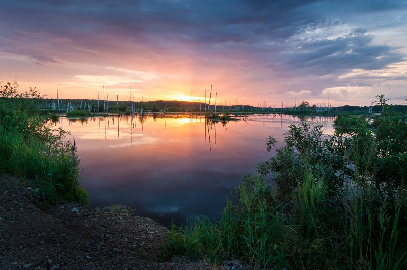 туман, московская область, утро, природа, пейзаж, весна, рассвет, солнце, болото Рассвет над болотомphoto preview